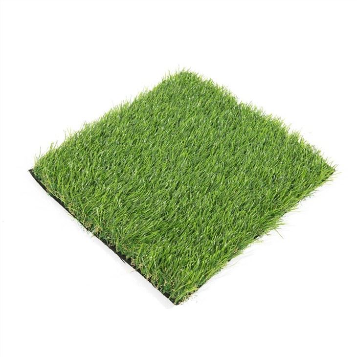 GRASS111