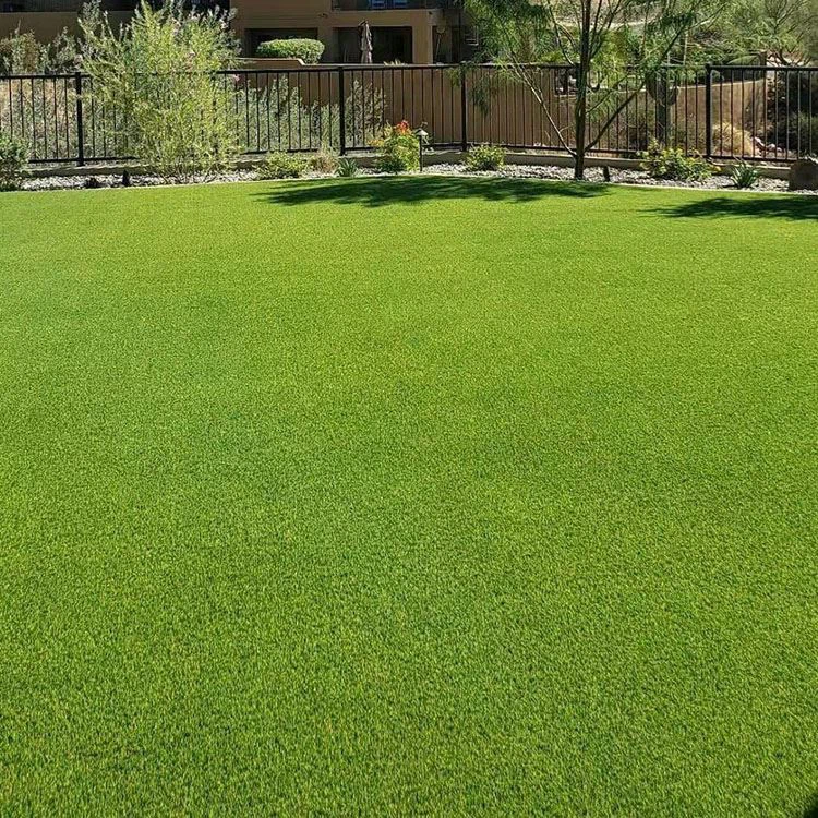 Prednosti ugradnje SyntheticTurf